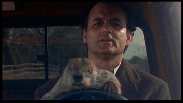 groundhog-day-bill-murray-driving